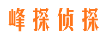 元阳市私家侦探